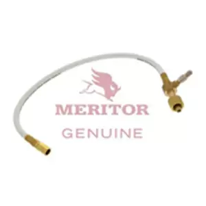 TIRE PSI HOSE 31373-00